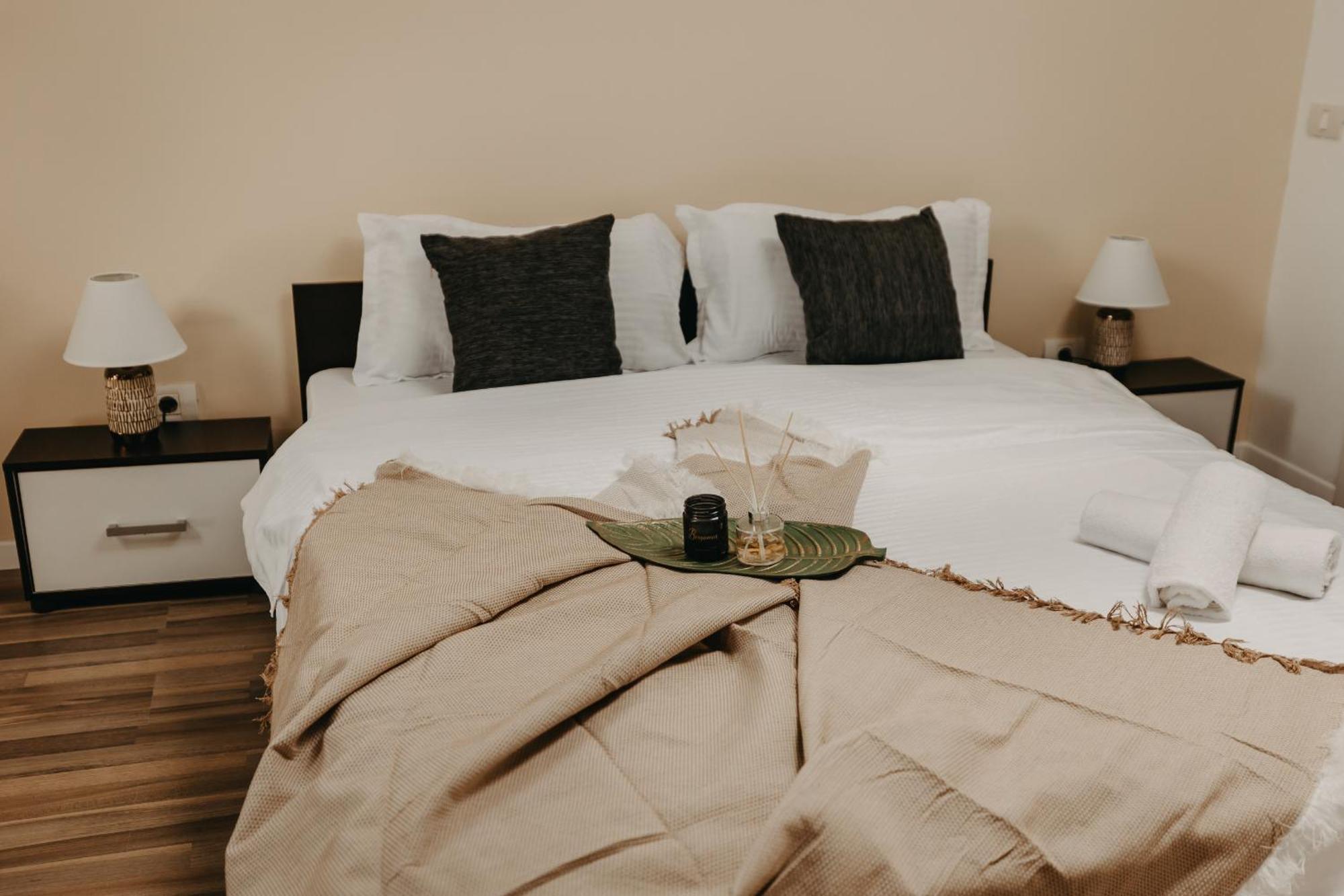 Tm Apartments 蒂米什瓦拉 外观 照片