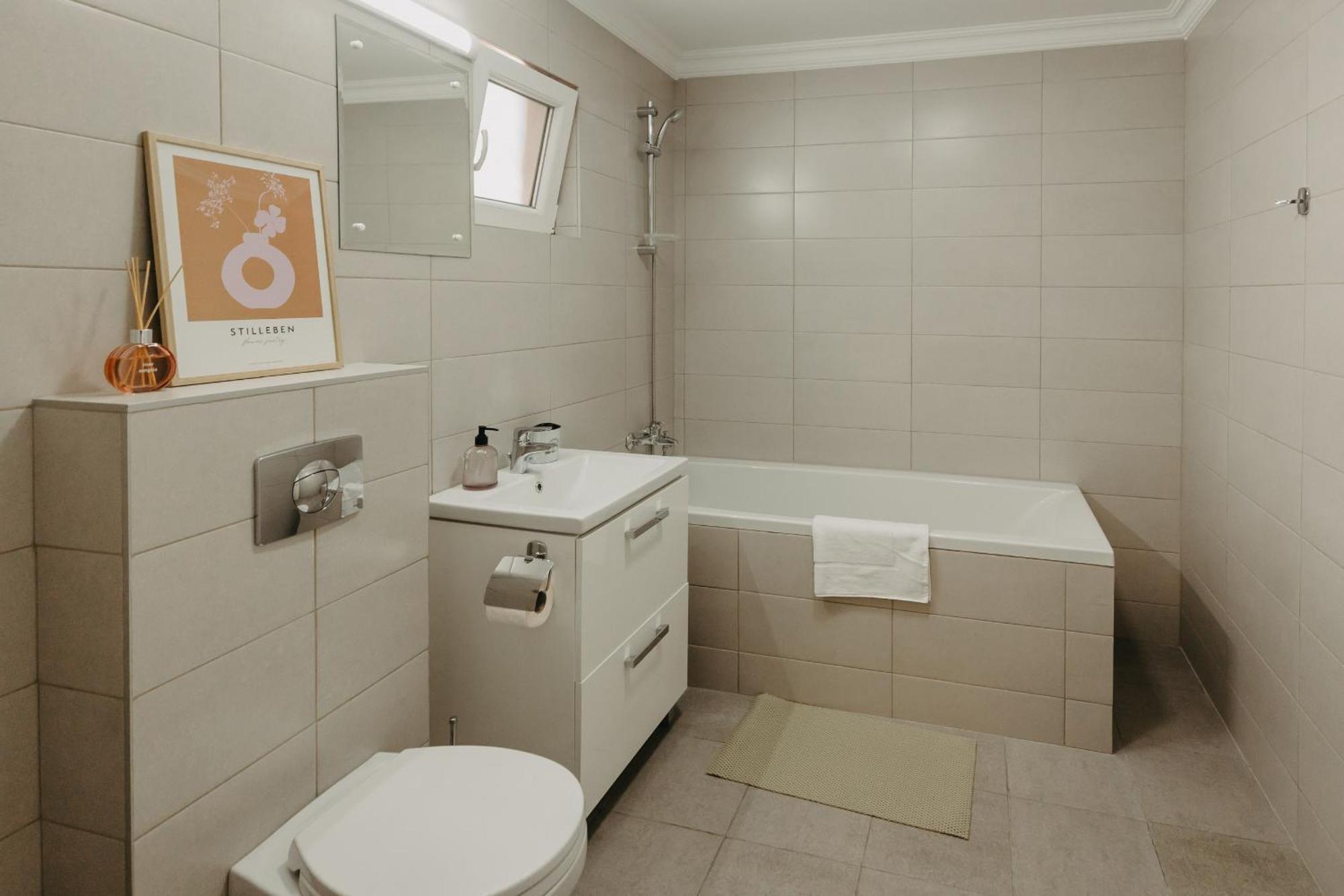 Tm Apartments 蒂米什瓦拉 外观 照片